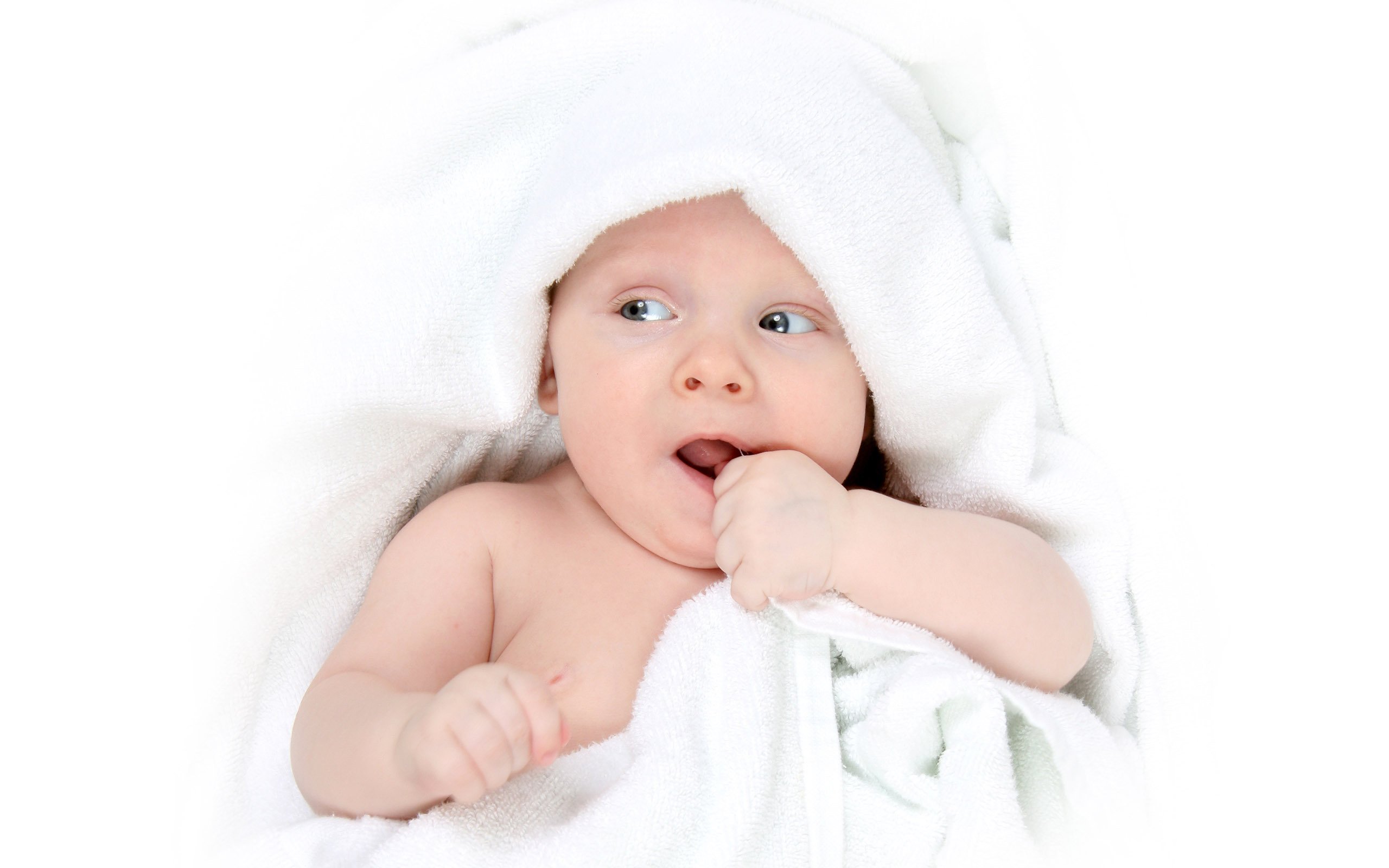 合肥借卵试管试管婴儿当月移植成功率